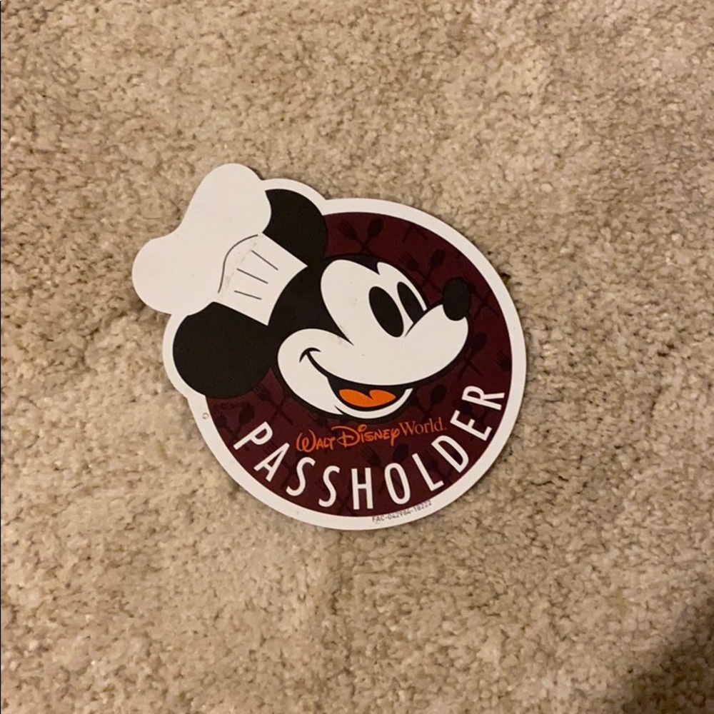Disney annual passholder magnet
